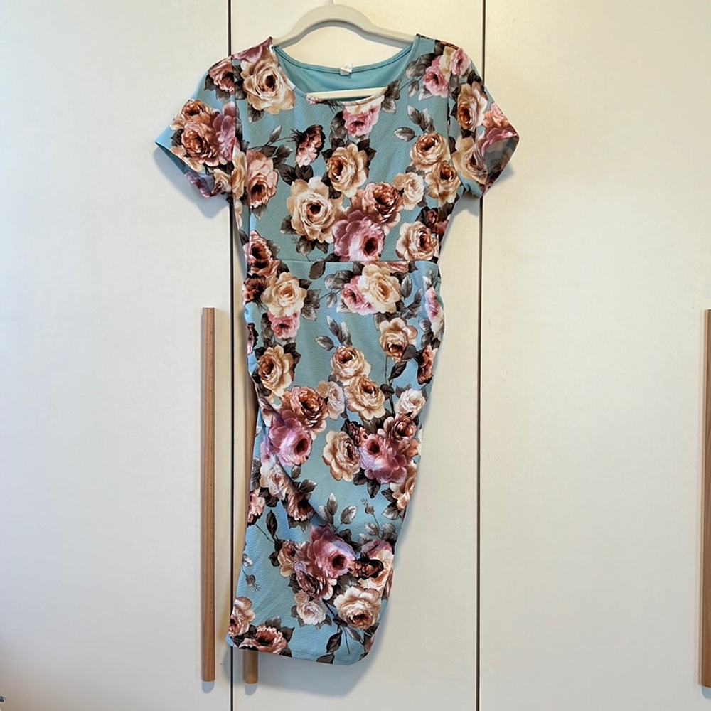 Pink Blush smocked fitted Maternity Dress